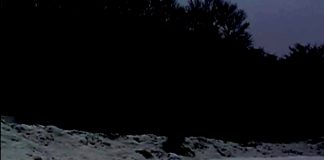 雪が降りしきる中..とある山荘を訪れた女に待っていたもの..それは乳首針貫通、カテーテル尿道責め