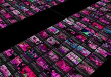 日本と海外の有料SM動画配信サービスリスト