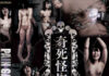 PAIN GATE 奇死怪生