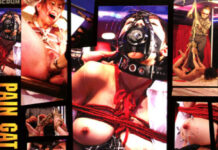 PAIN GATE LIVE ~謝肉祭~